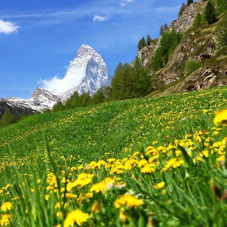 Apartment Monazit By Interhome Zermatt Exterior foto