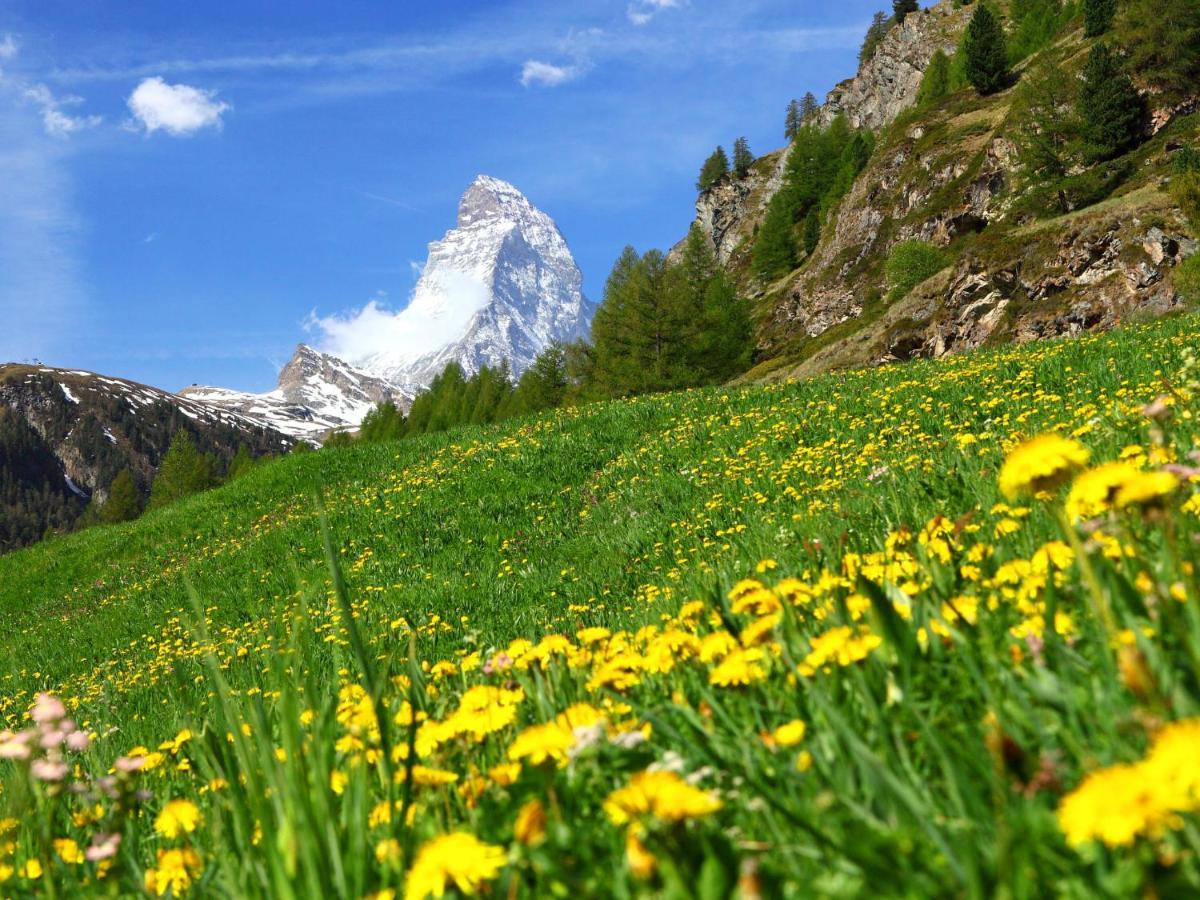 Apartment Monazit By Interhome Zermatt Exterior foto